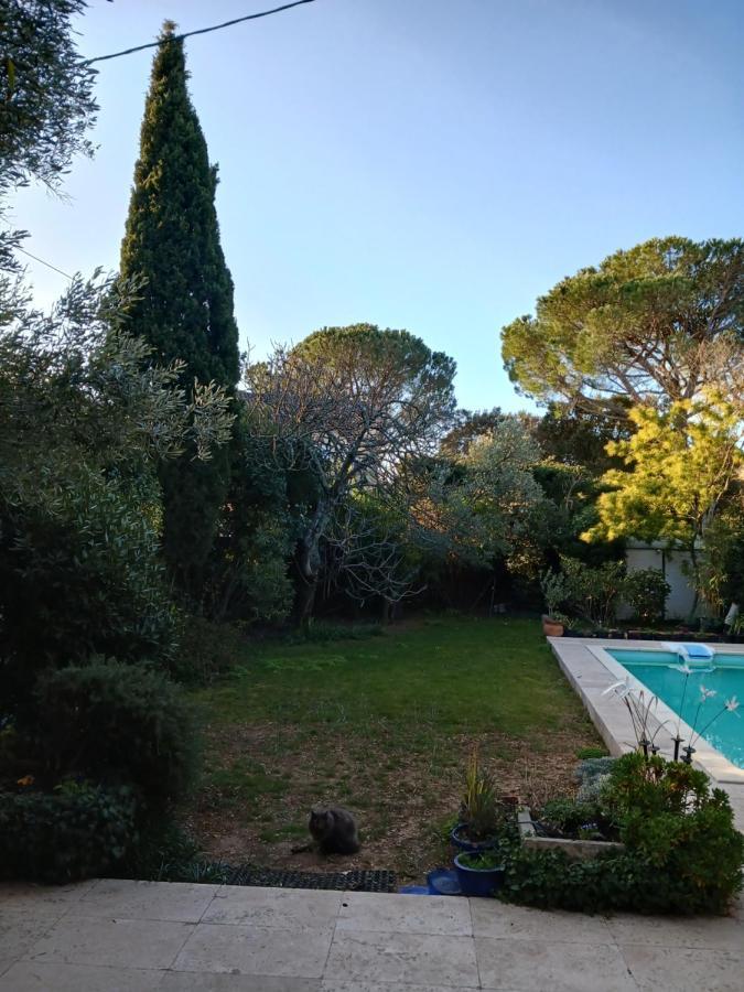 Studio Charmant Et Calme Villeneuve Les Avignon Entree Et Cour Independantes Climatisation Piscine Parking Luaran gambar